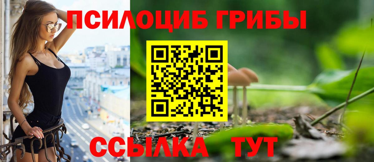 Псилоцибиновые грибы прущие грибы  Вход с VPN  купить наркоту  Нефтекумск  Псилоцибиновые грибы Cubensis 